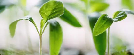 Farmers & Ranchers, You Are Climate Heroes. Tell Congress the 2024 Farm Bill Should Support You!