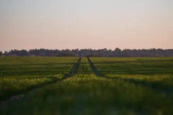 Announcing the “Farmers’ Guide to COVID-19 Relief”