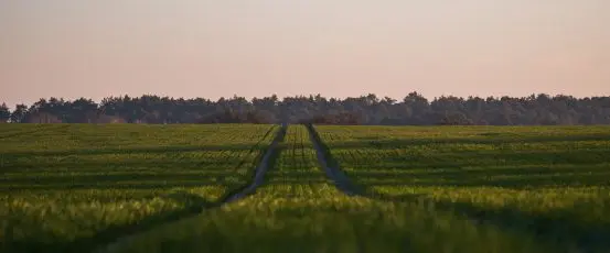 Announcing the “Farmers’ Guide to COVID-19 Relief”