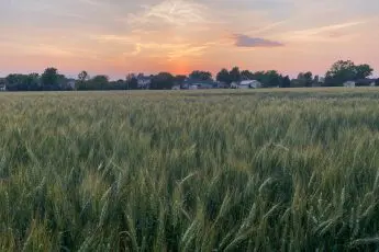 Farmers: PPP Application Deadline is June 30!