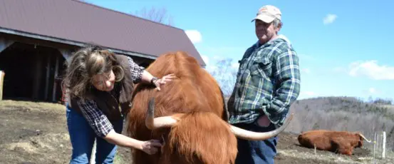 Making Lemonade Out of Lemons: Helping Farmers Adjust to COVID