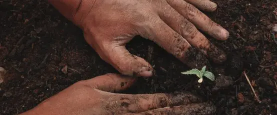 Congressional Update: Build Back Better