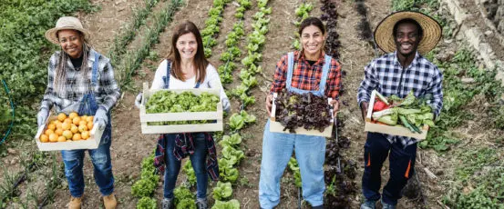 A Season of Stewardship