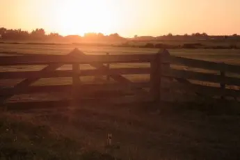 Congress Must Continue Funding the Farm and Ranch Stress Assistance Network