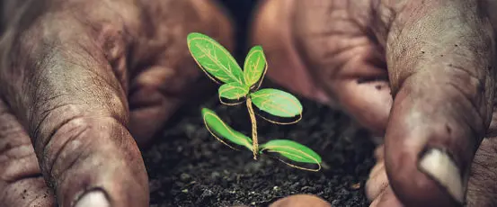 Family Farmers on the Frontlines of a Changing Climate