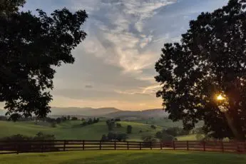 A Deep Dive into the FRSAN Grant with our Farmer Services Team