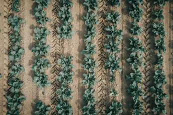 Farmers and Climate Change: Myths vs. Facts