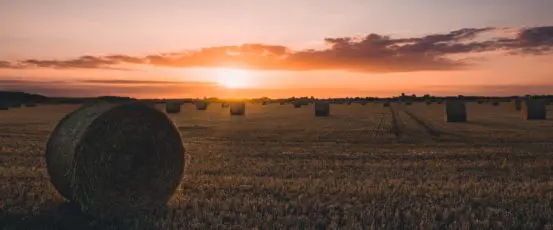 Farm Aid’s Hotline is Hearing from More Farmers. Here’s What They’re Calling About.