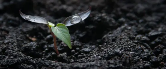 Farmers and Climate Change: Essential Questions and Answers