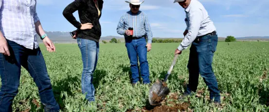 Farm Aid Joins More Than 600 Allies to Protect Climate-Resilient Agriculture Funding