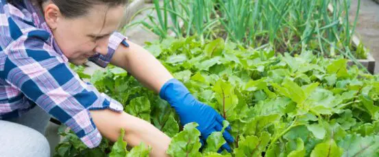 The Agriculture Resilience Act is a Farmer-Driven Roadmap for Net-Zero Greenhouse Gas Emissions in Agriculture