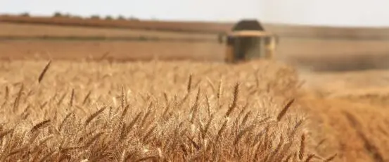 USDA Announces Application Extension for Discrimination Financial Assistance Program