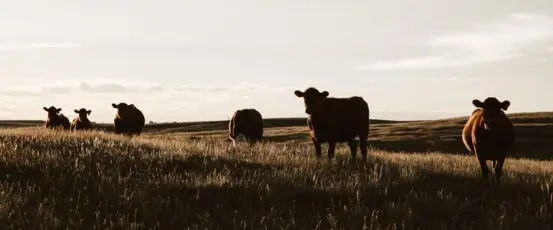 Conservation Program Ranking Dates Are Approaching!