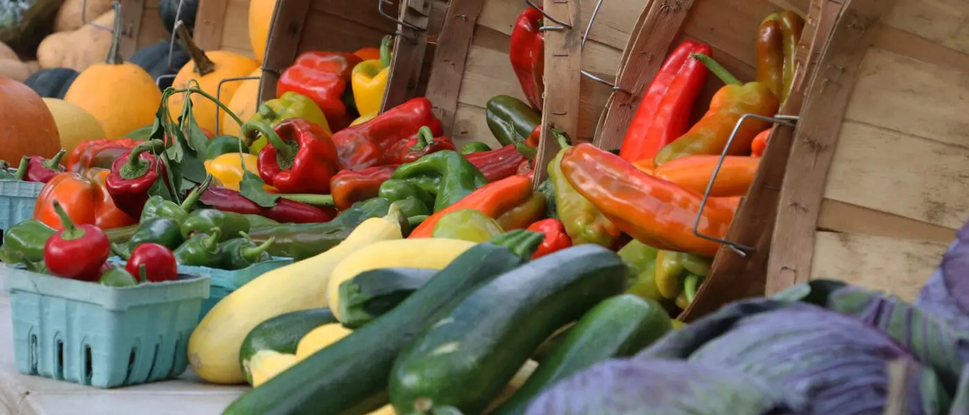 Peppers, squash, zucchini, cabbages, and pumpkins on a table