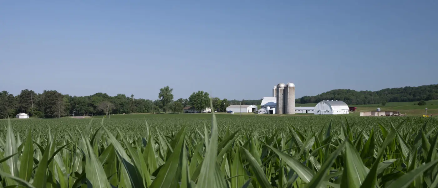 field with dairy buildings in the background