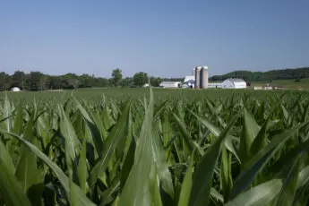 Appealing for Relief: A New Report About Farmers’ Experiences with Farm Loan Decisions