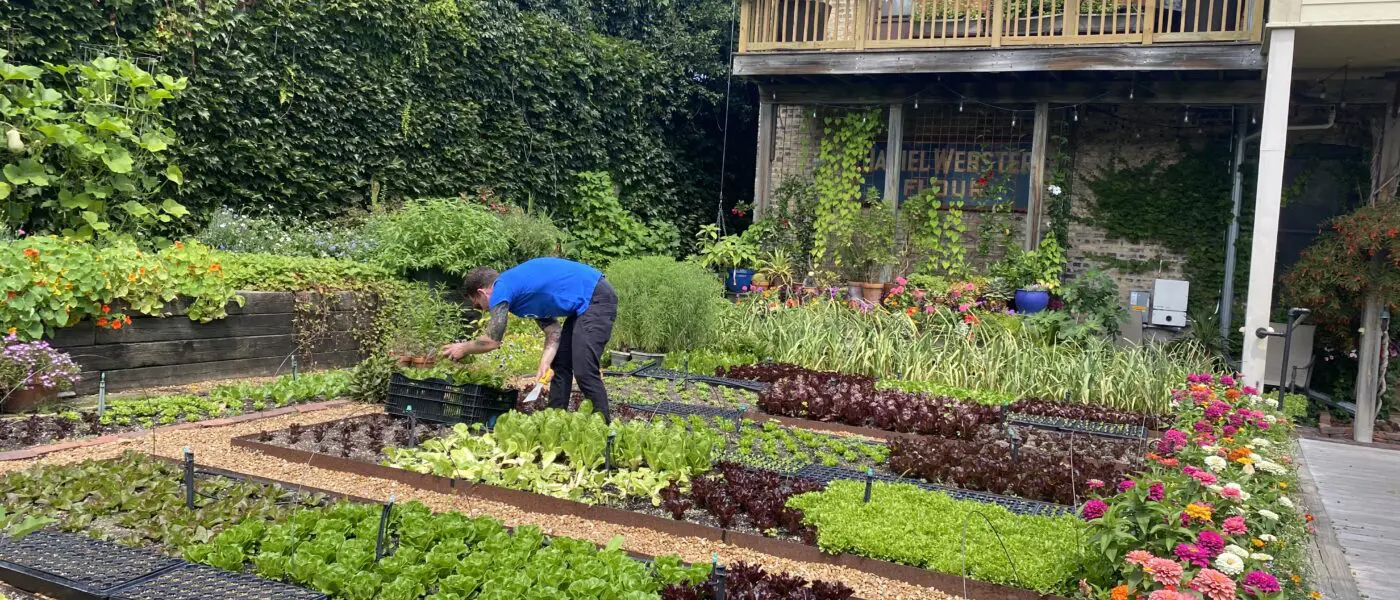 Rick Bayless' garden