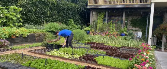 Against the Grain Bonus EP 2: Rick Bayless, The Farmers’ Chef