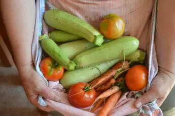 Farm Aid Statement on Federal Interruption of the Supplemental Nutrition Assistance Program (SNAP)