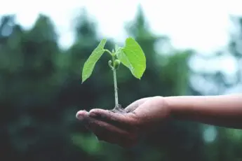 Farmers Bring Hope for Our Climate and Our Future