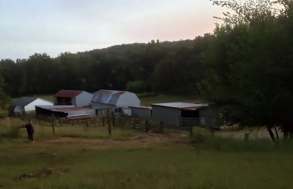 farm field and buildings at dusk