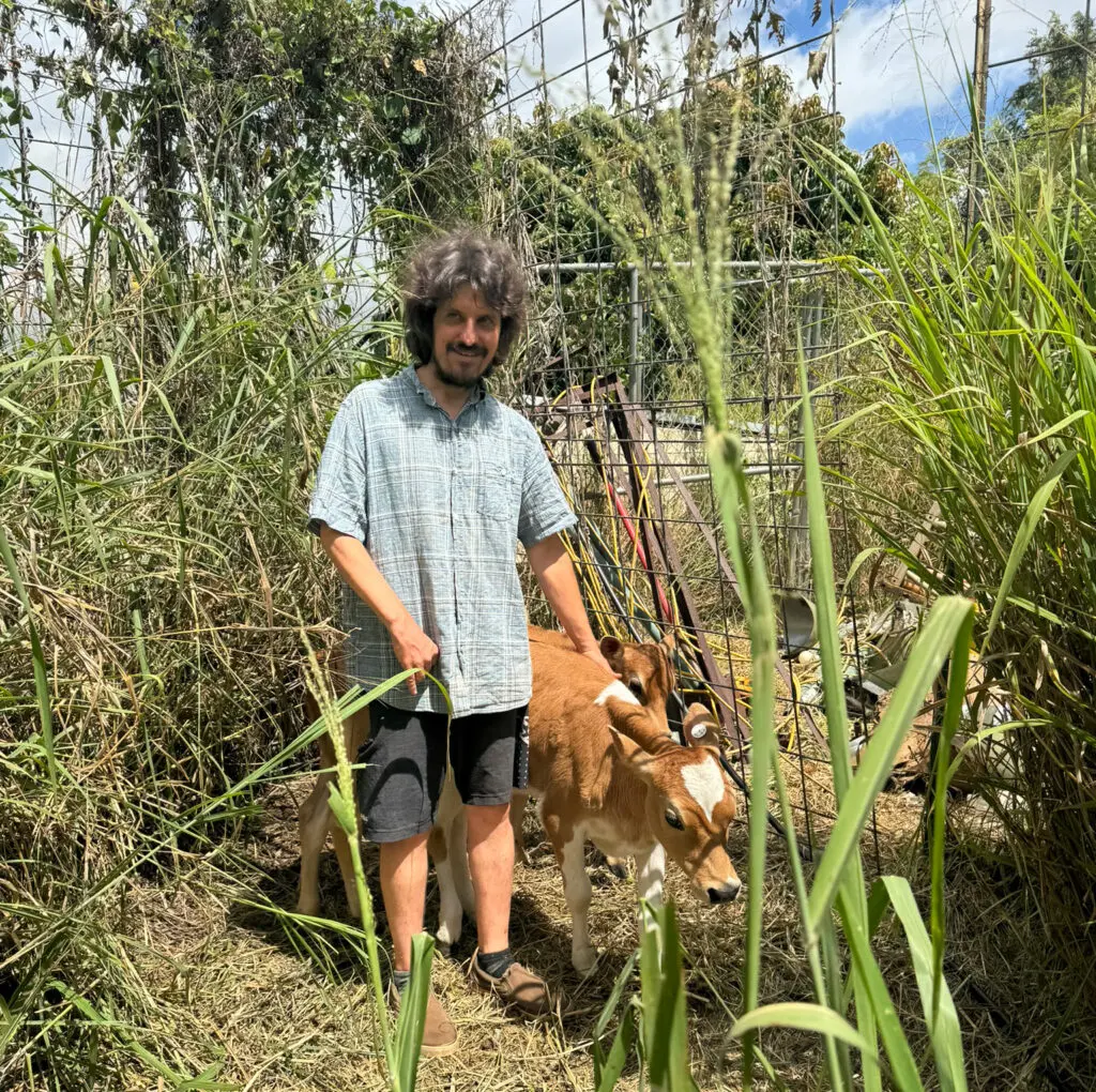 man with a small cow