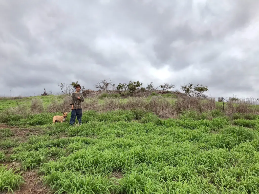 man with a dog in a field with a cloudy sky