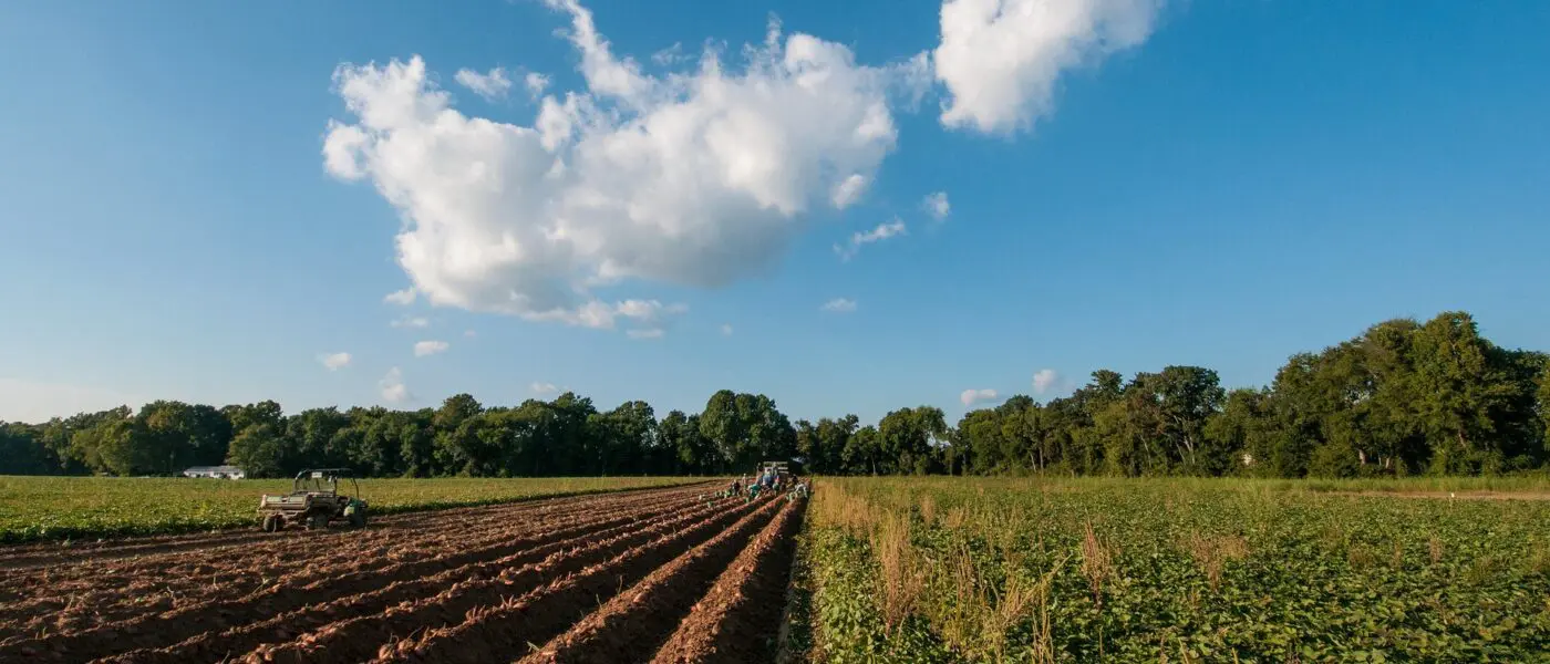farm soil under a blue sky