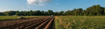 farm soil under a blue sky