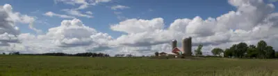 dairy farm field