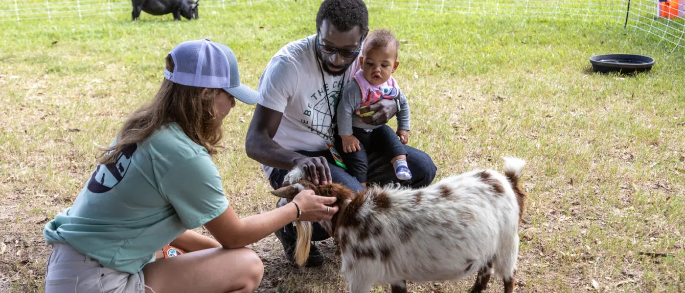 woman, man, and boy admiring a tiny goat