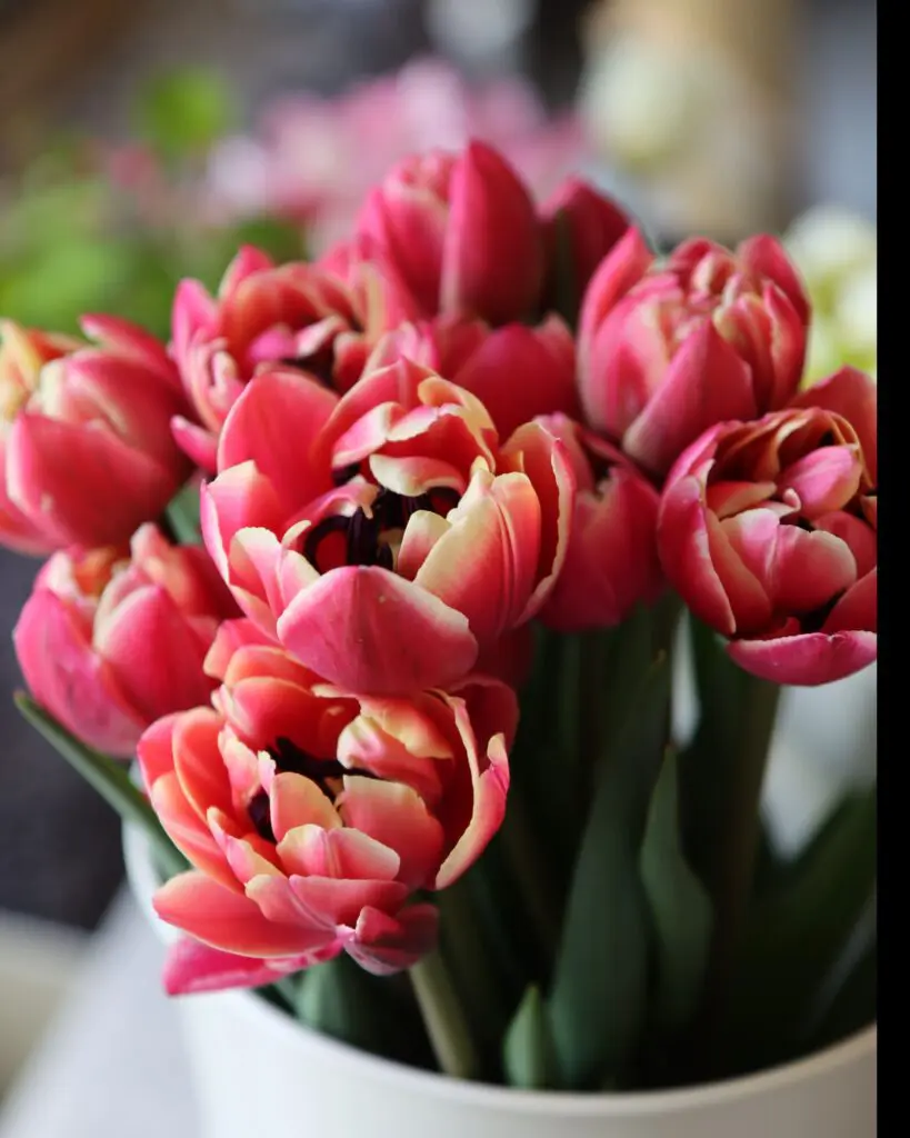 bouquet of flowers