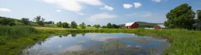 Scenic farm