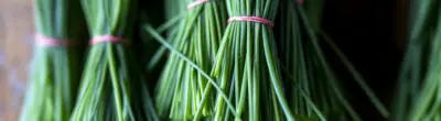 bundles of chives