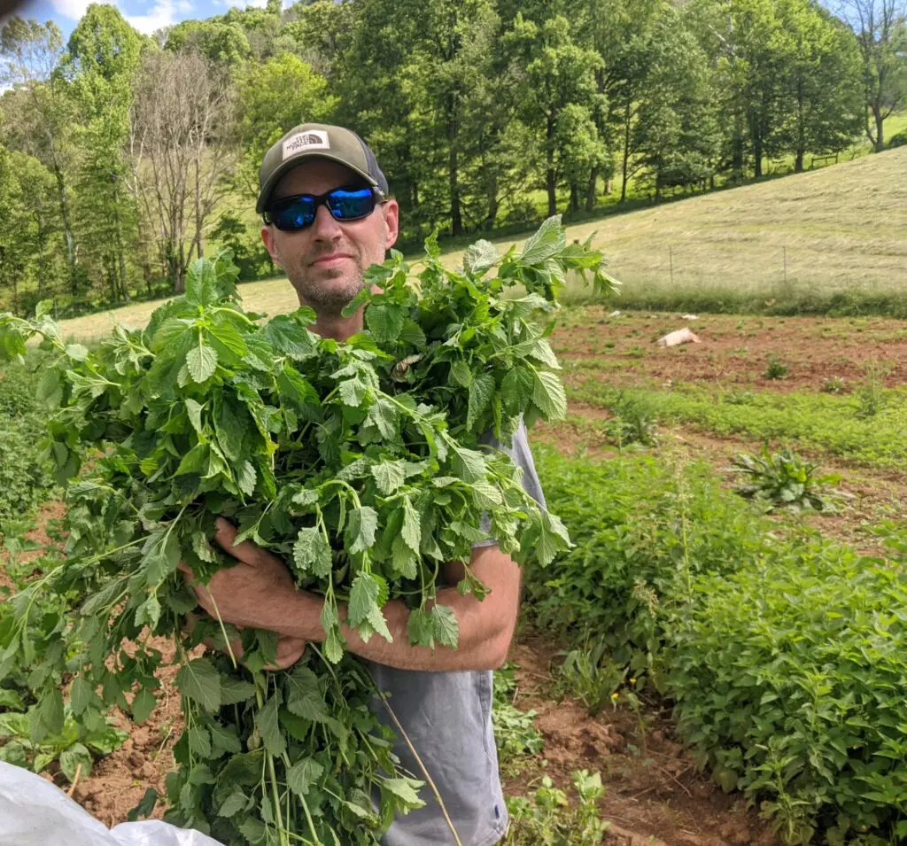 David Wallace. Photo: Appalachian Sustainable Development