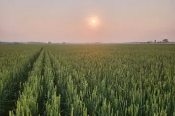 Frozen federal funds hurt farmers