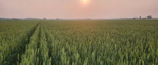 Frozen federal funds hurt farmers