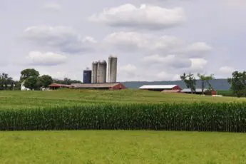 What tariffs mean for American farmers