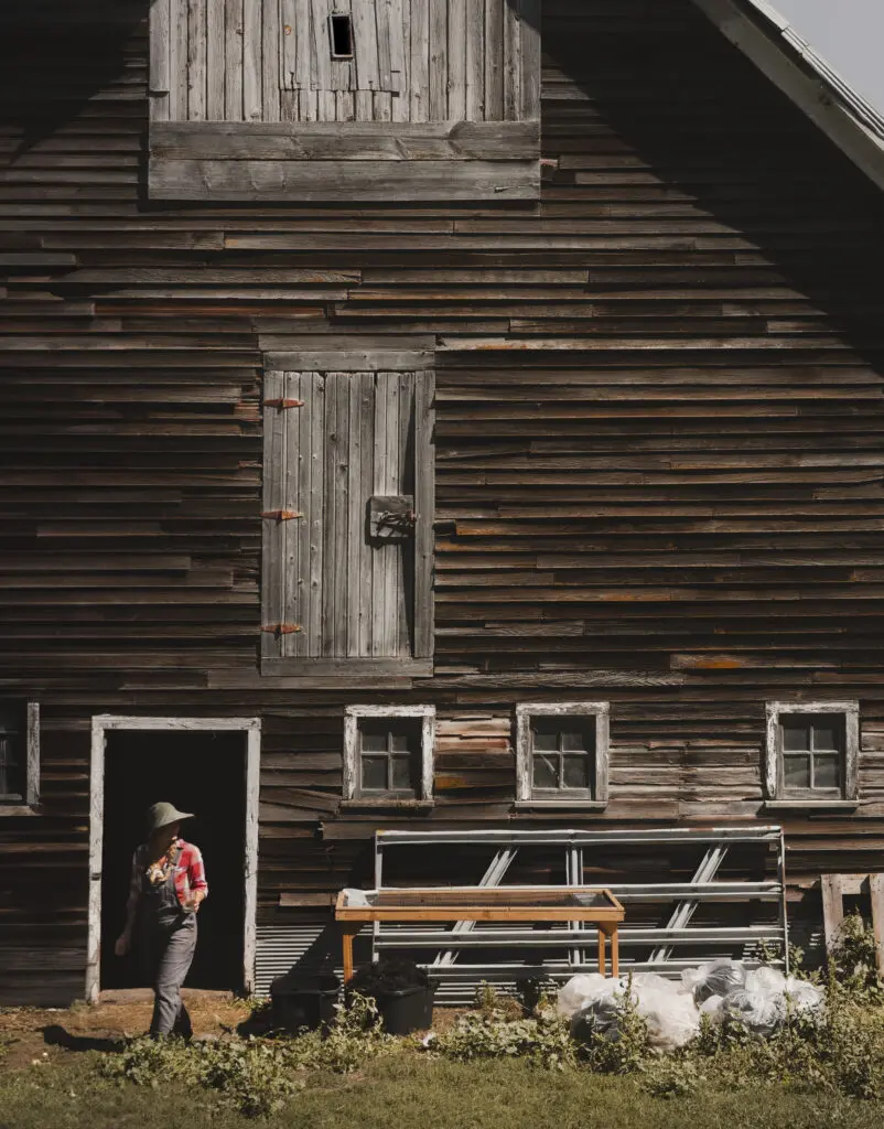 Theresa and Get Bentz barn