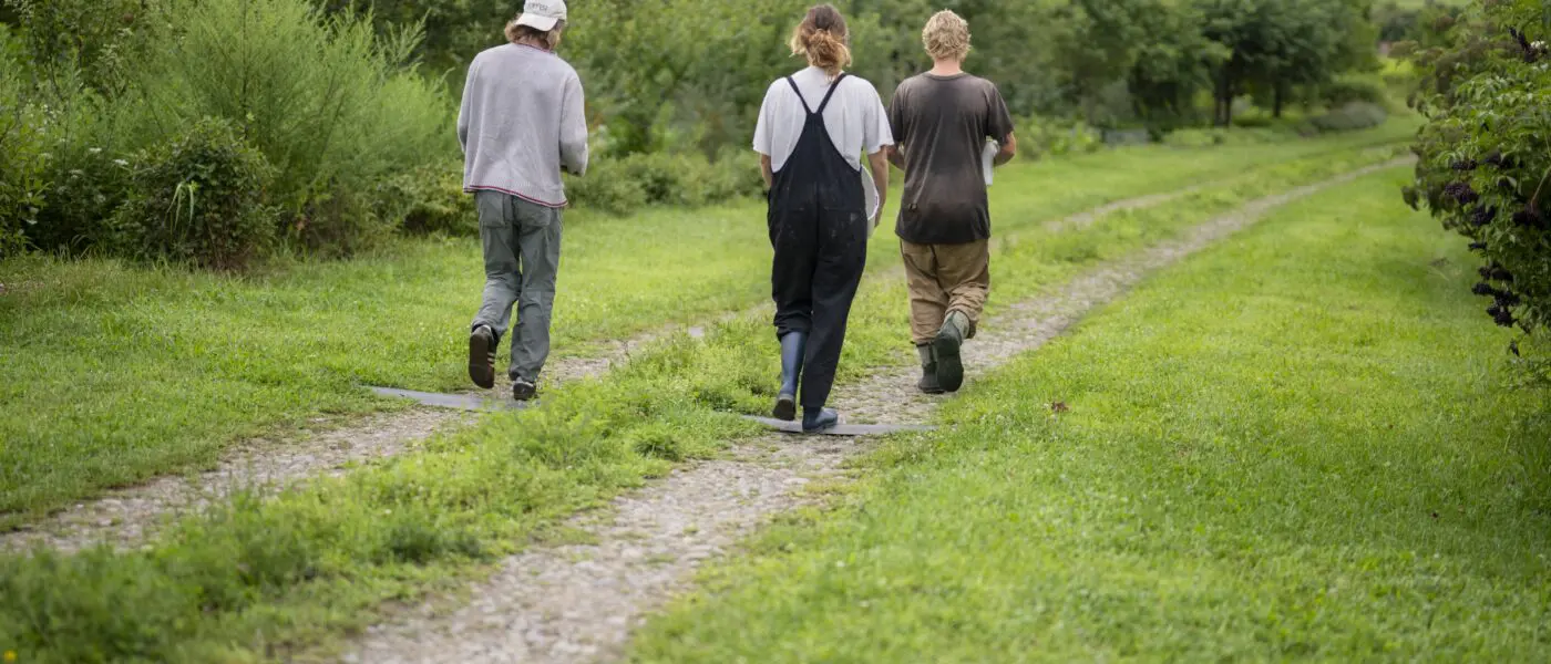 people walking down a farm path