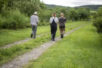 Trauma-Informed Practice Training