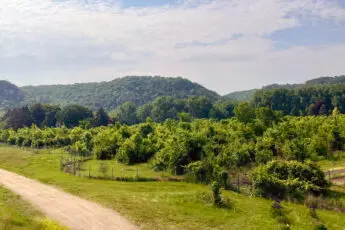 Nine Hazels Farm: A Hopeful Path Forward with Nature