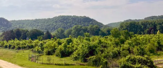 Nine Hazels Farm: A Hopeful Path Forward with Nature