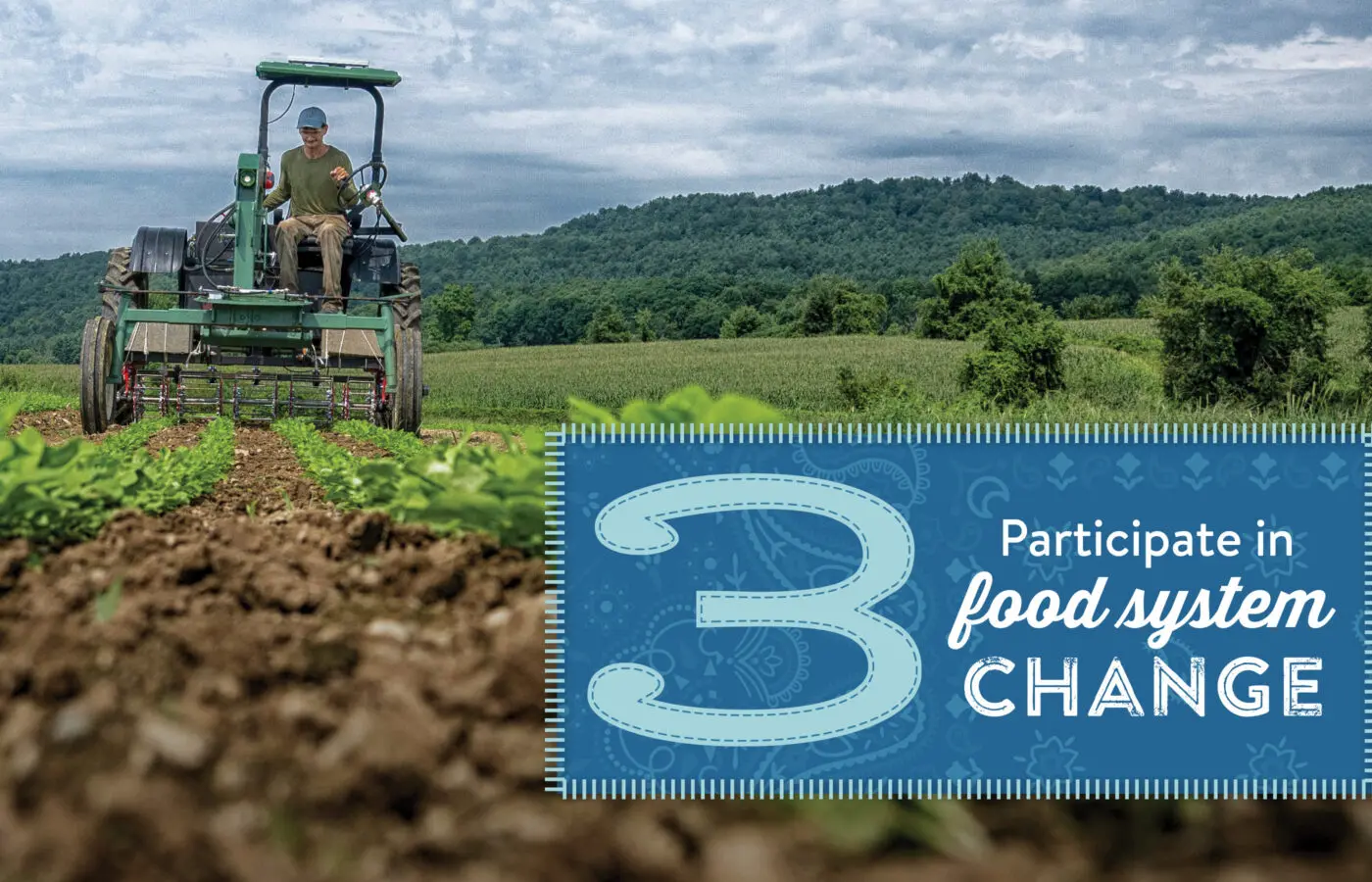 3. Participate in food system change