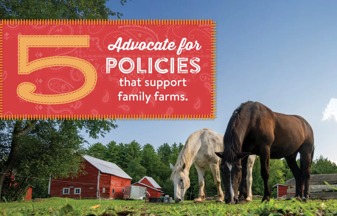 5. Advocate for policies that support family farms