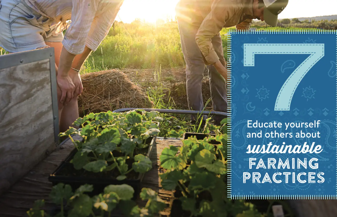 7. Educate yourself and others about sustainable FARMING PRACTICES