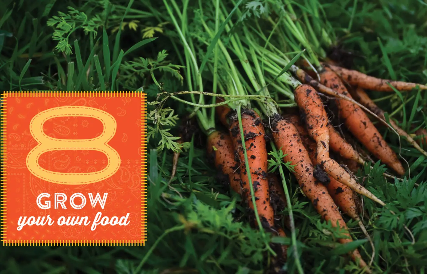 8. Grow your own food