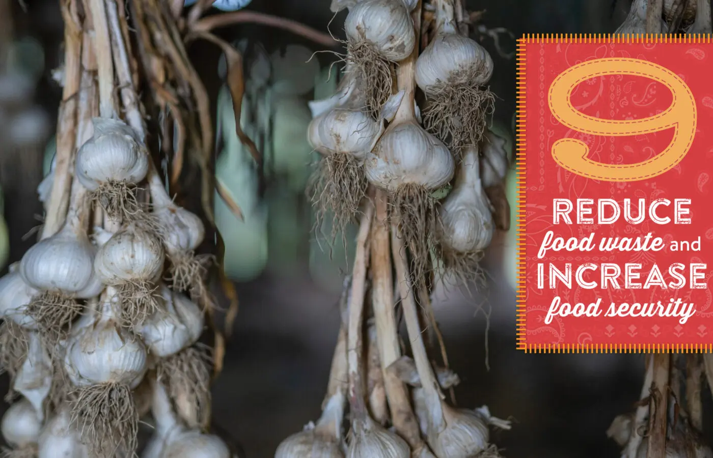 9. Reduce food waste and increase food security