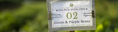 Sign in field that says CSA PICK YOUR OWN GREEN & PURPLE BEANS