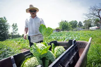 Farmers and communities deserve a better farm bill in 2025